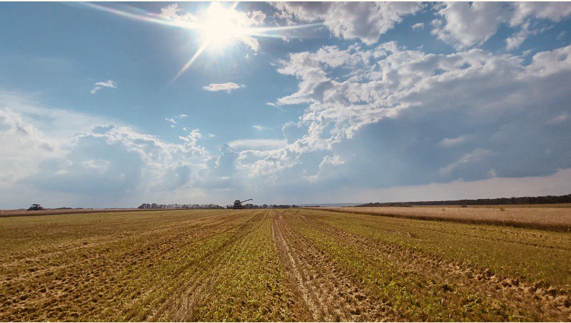 Более 18 тысяч белгородцев получают повышенную пенсию  за работу в сельском хозяйстве.