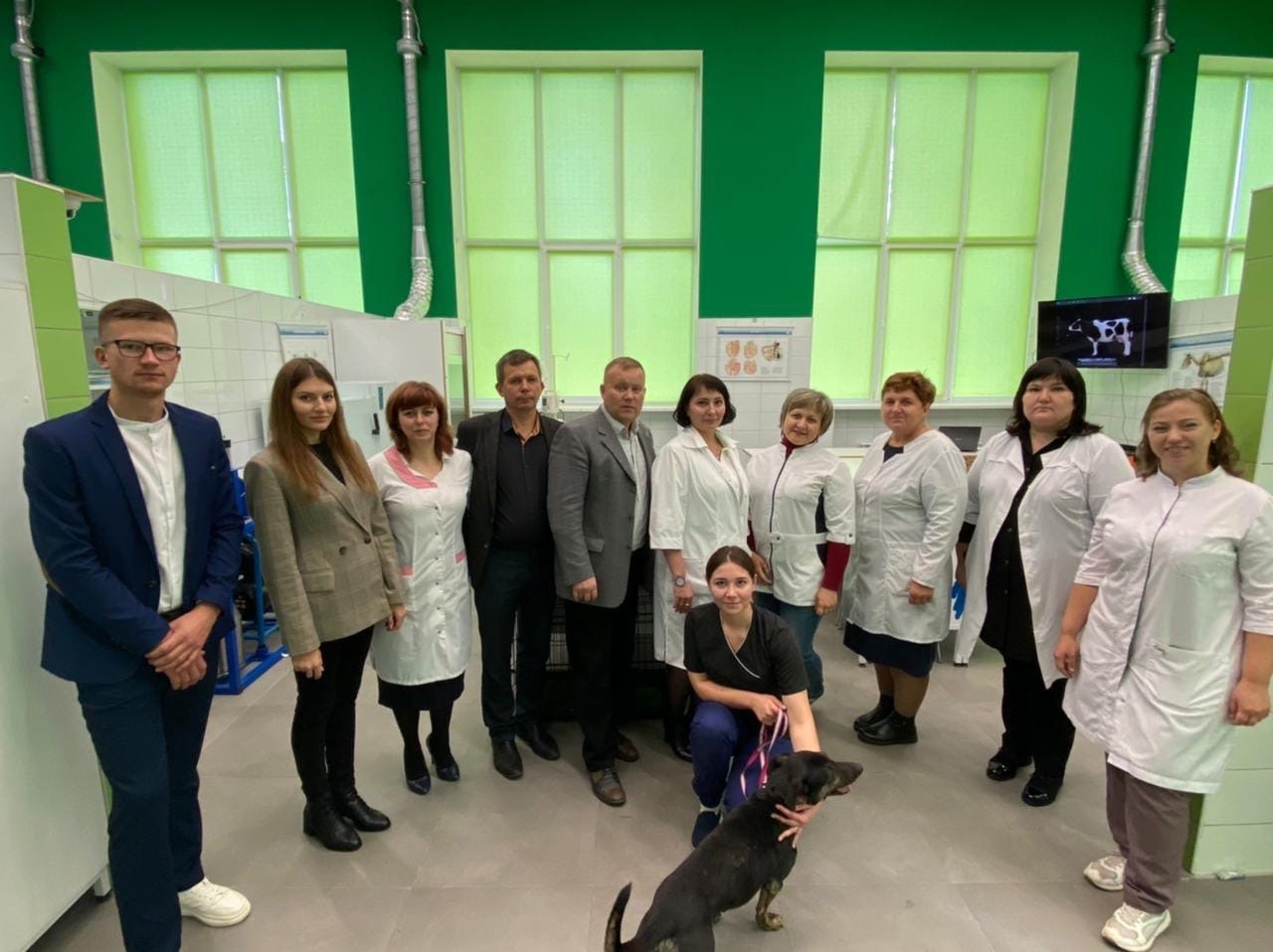 Вчера на базе Корочанского техникума, в рамках сетевого взаимодействия ПОО преподавателями БелГАУ был проведен первый блок мастер-классов по специальности «Ветеринария».