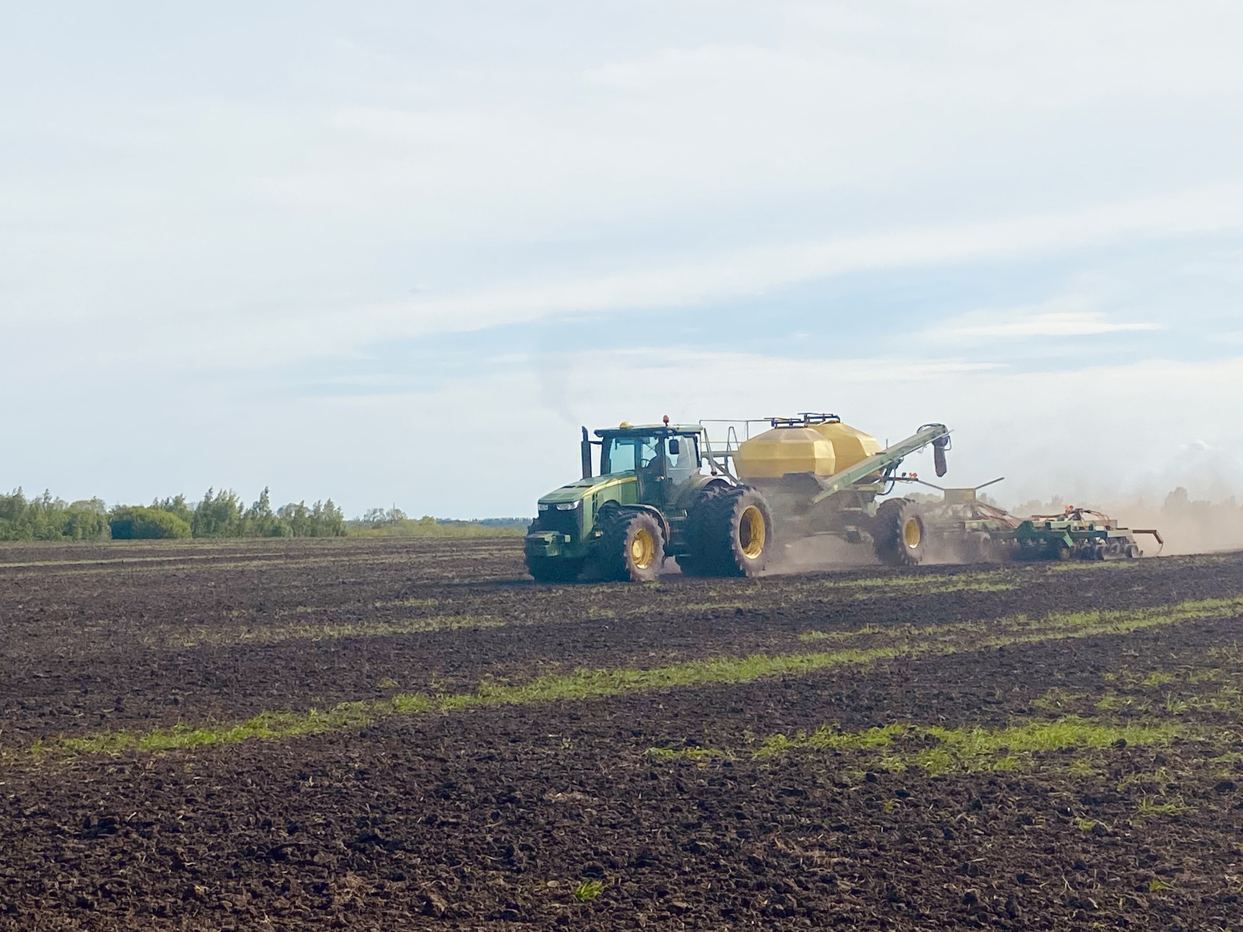 В Корочанском районе засеяно более 70% от запланированной площади для зерновых и зернобобовых культур.