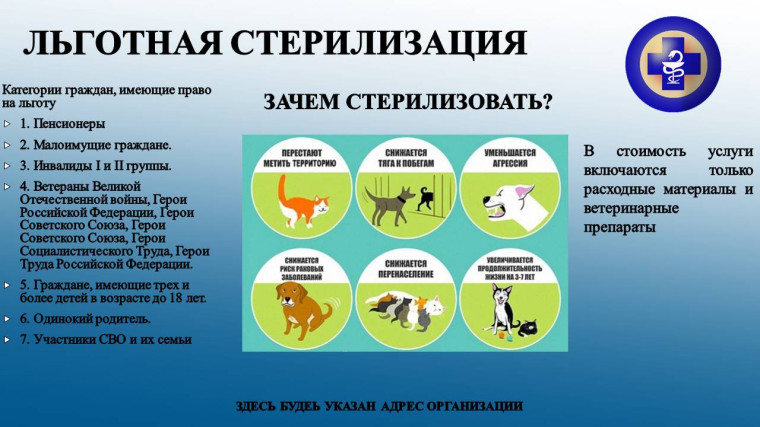 ОСВВ (Отлов - Стерилизация - Вакцинация - Возврат) это эффективный метод снижения численности безнадзорных животных.