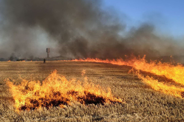 О недопущении природных пожаров в период летней кампании.