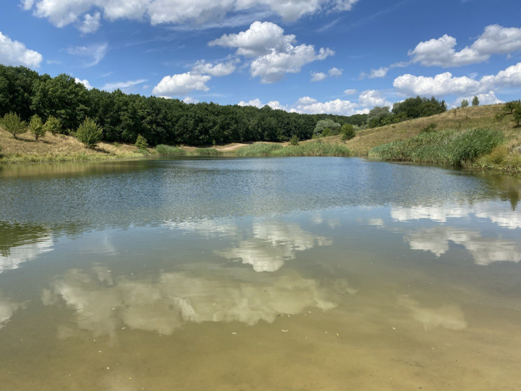 Два пруда очистят в 2024 году в Корочанском районе.