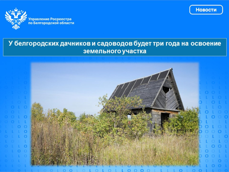 У белгородских дачников и садоводов будет три года на освоение земельного участка. У белгородских дачников и садоводов будет три года на освоение земельного участка.