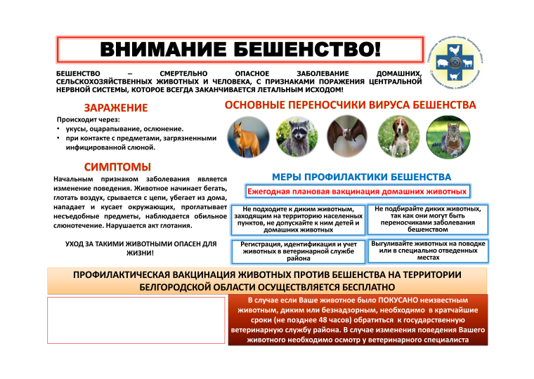 ВНИМАНИЕ БЕШЕНСТВО!. ВНИМАНИЕ БЕШЕНСТВО!.