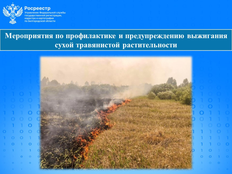 Мероприятия по профилактике и предупреждению выжигания сухой травянистой растительности. Мероприятия по профилактике и предупреждению выжигания сухой травянистой растительности.