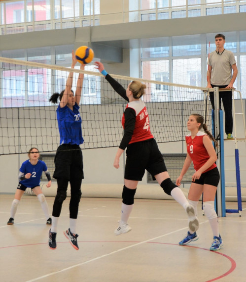 Корочанские спортсменки приняли участие в соревнованиях по волейболу в Белгороде.