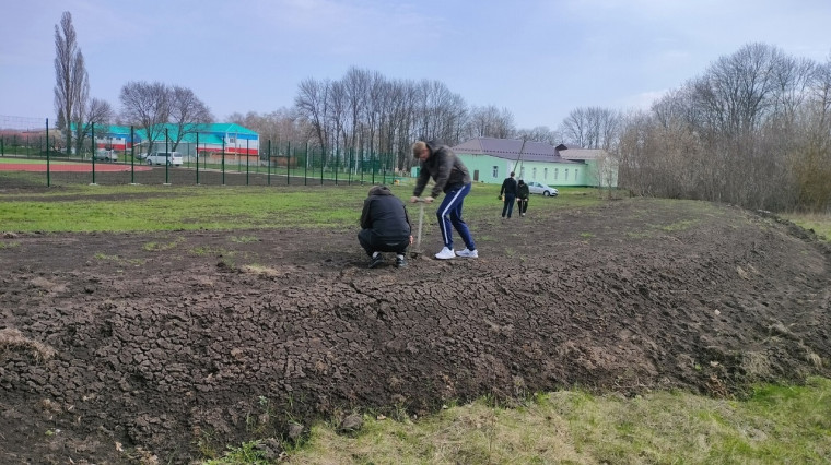 На прилегающей территории к школьному стадиону МБОУ «Новослободская СОШ» в минувшие выходные, было высажено 600 саженцев хвойных пород.