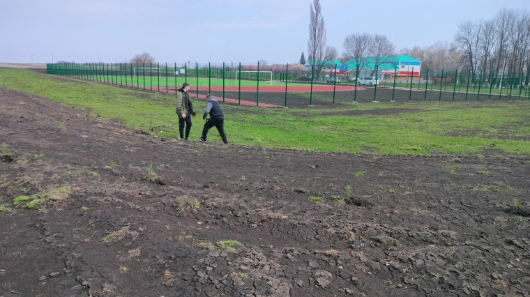 На прилегающей территории к школьному стадиону МБОУ «Новослободская СОШ» в минувшие выходные, было высажено 600 саженцев хвойных пород.