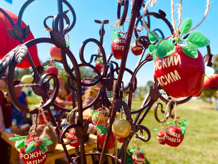 В Корочанском районе прошёл фестиваль-ярмарка «Яблочный Спас».