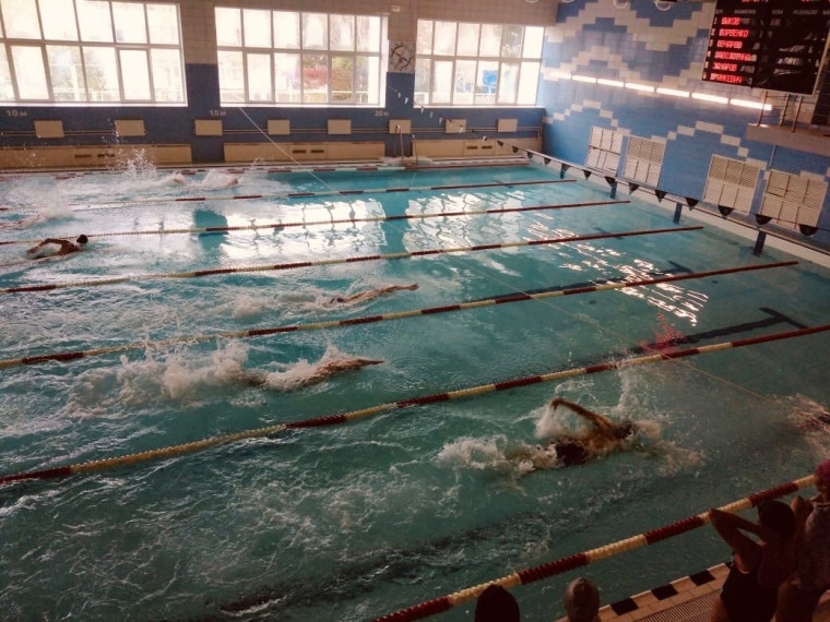 В Губкине прошли соревнования по плаванию в рамках областной спартакиады под девизом «За физическое и нравственное здоровье нации».